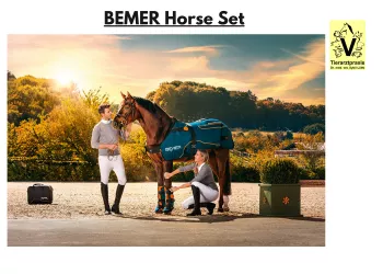 Das BEMER Horse-Set wirkt