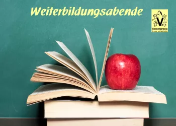 Das BEMER Horse-Set wirkt